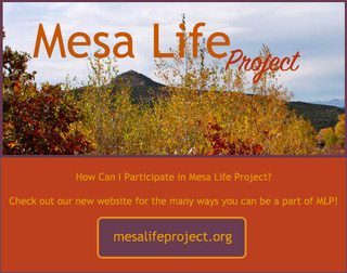 sacred-fire-community-mesa-life-project